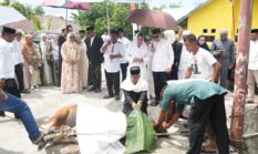 Tinjau Penyembelihan Hewan Kurban di Sejumlah Titik, Bupati Sula Tekankan Ketepatan Penyaluran Daging Kurban