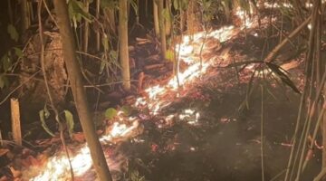 Kepung Titik Api! Pemdes Kawasi dan Harita Nickel Selamatkan Hutan Akelamo